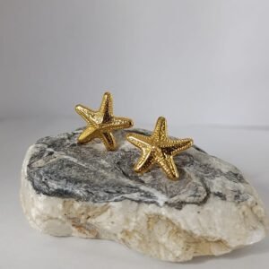 Aretes de Estrella de Mar🌴🌊🌟
